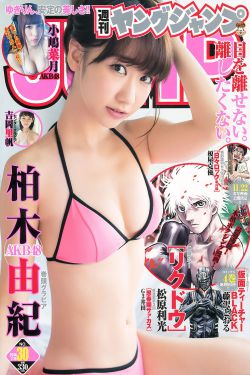 铁核桃电视剧